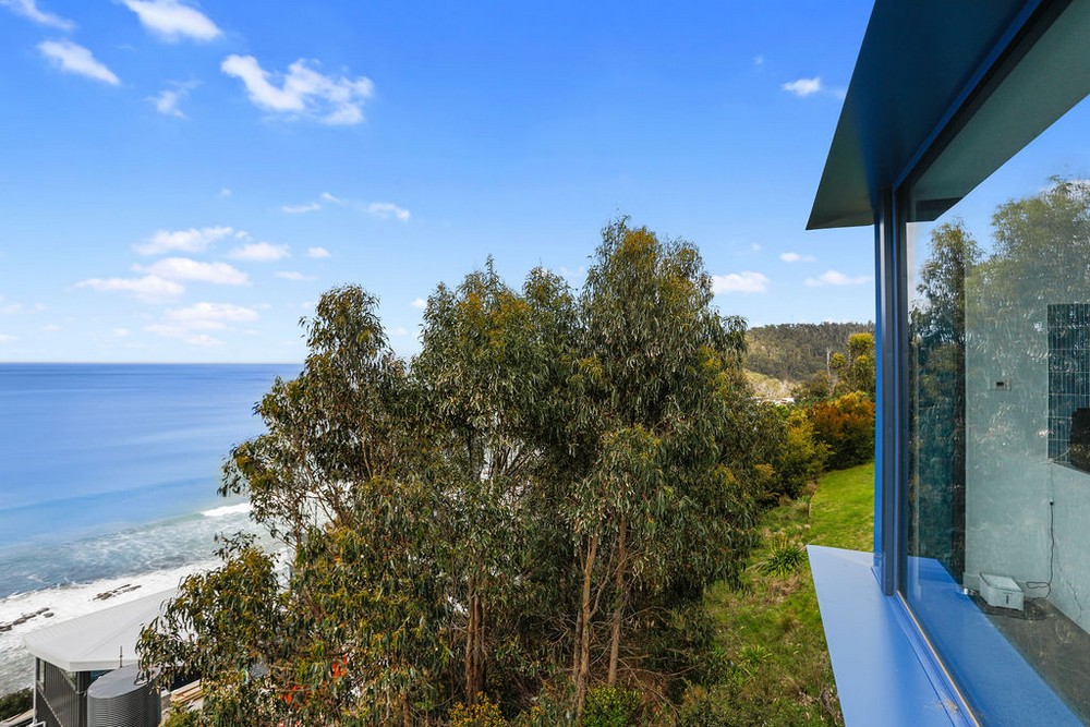 Coastal trees and blue horizons